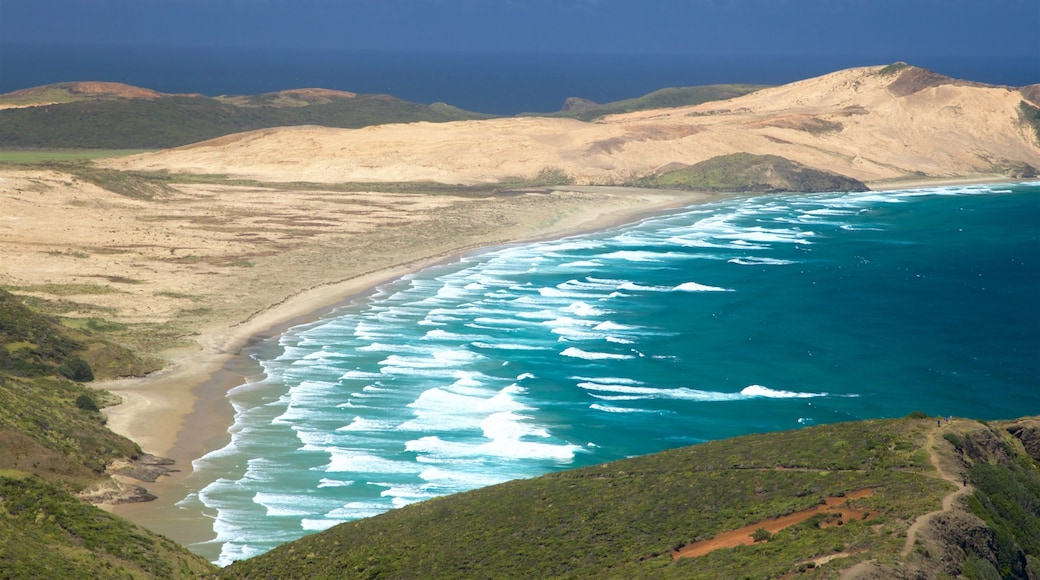 Cape Reinga showing tranquil scenes, a sandy beach and general coastal views