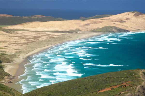 Cape Reinga showing tranquil scenes, a sandy beach and general coastal views