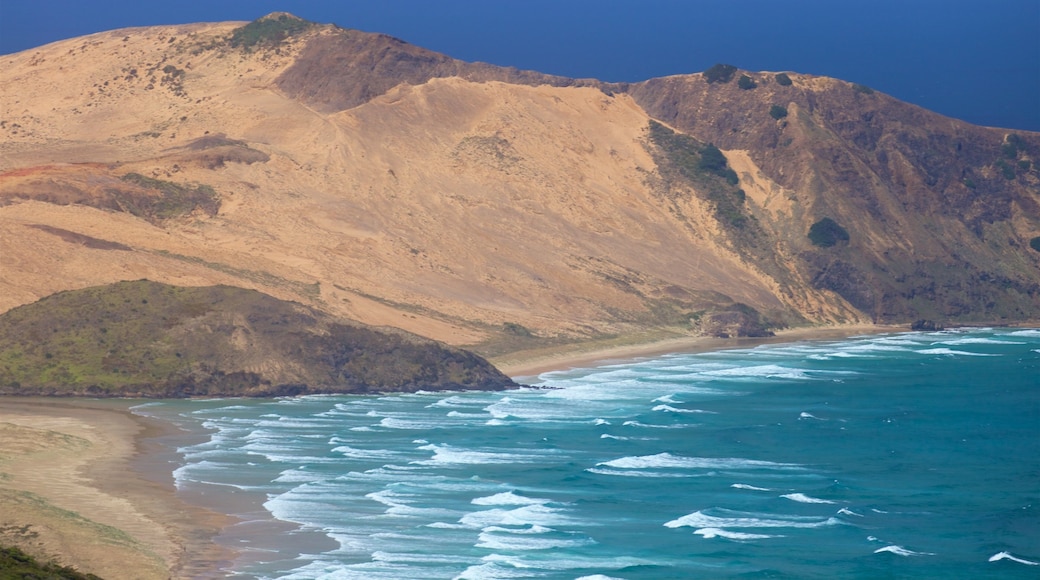 Cape Reinga featuring general coastal views and tranquil scenes
