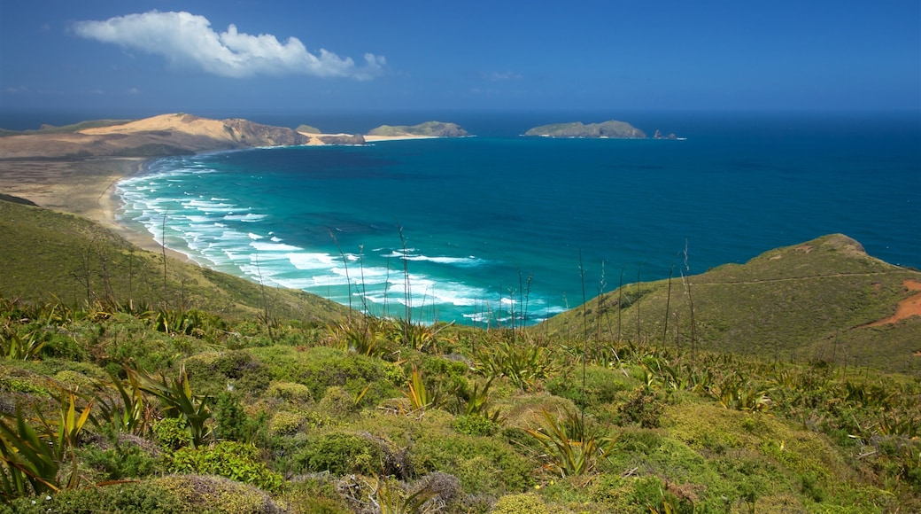 Cape Reinga which includes tranquil scenes, general coastal views and island views