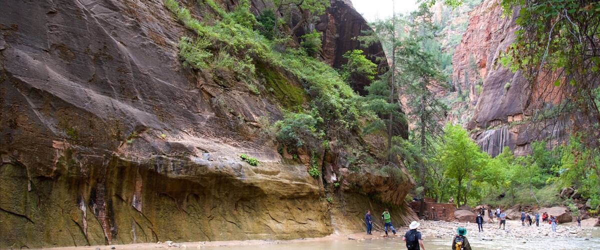 Zion National Park featuring a river or creek, hiking or walking and tranquil scenes
