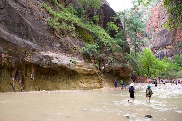 Parque Nacional Zion mostrando un río o arroyo, senderismo o caminatas y situaciones tranquilas