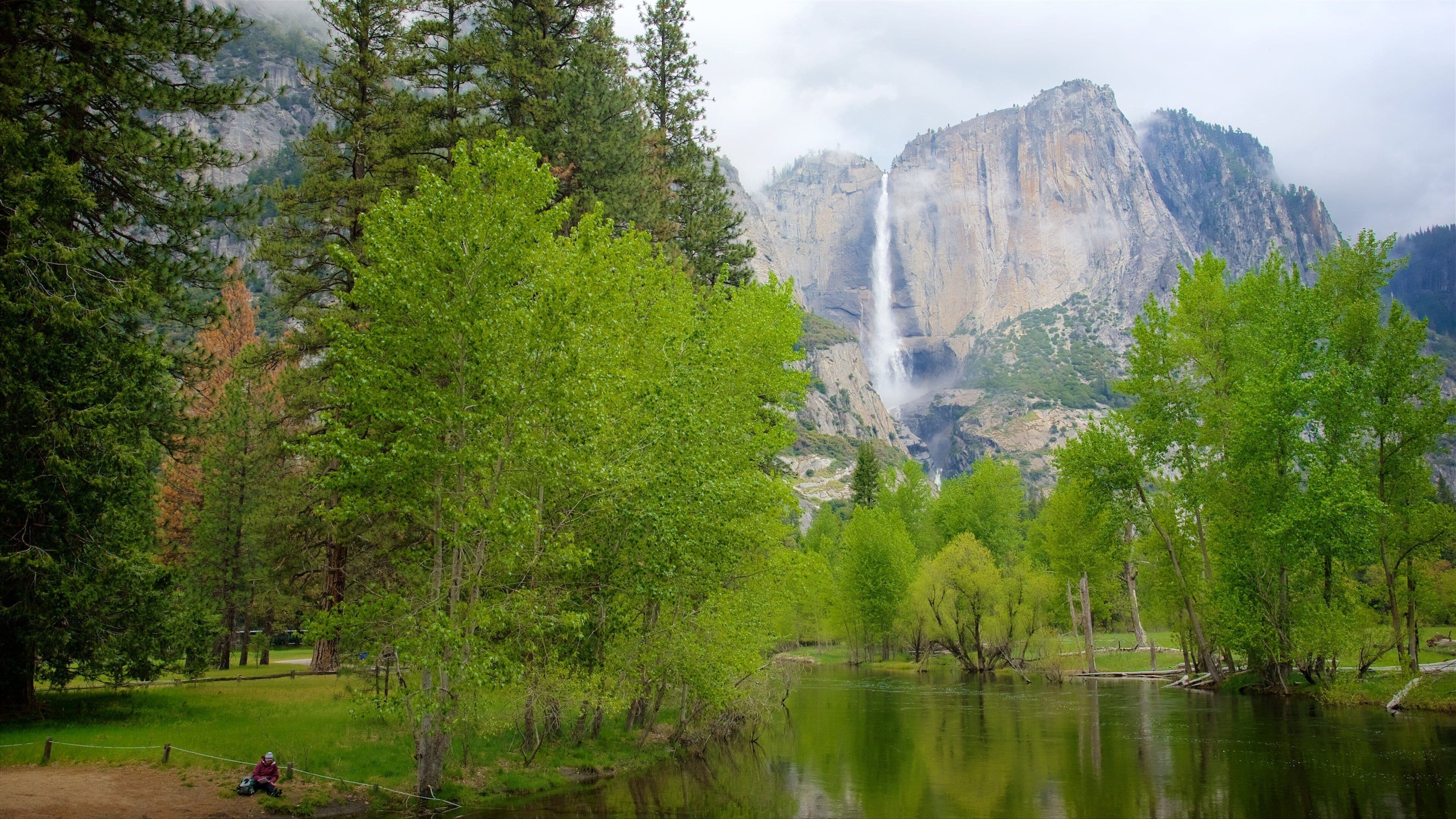 Swinging Bridge Picnic Area