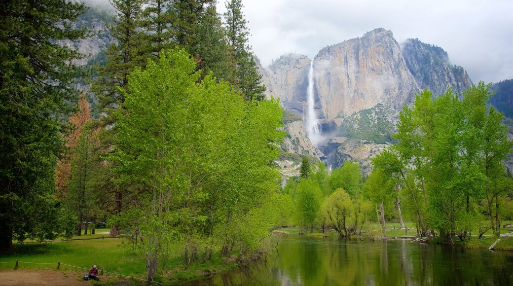 Swinging Bridge Picnic Area