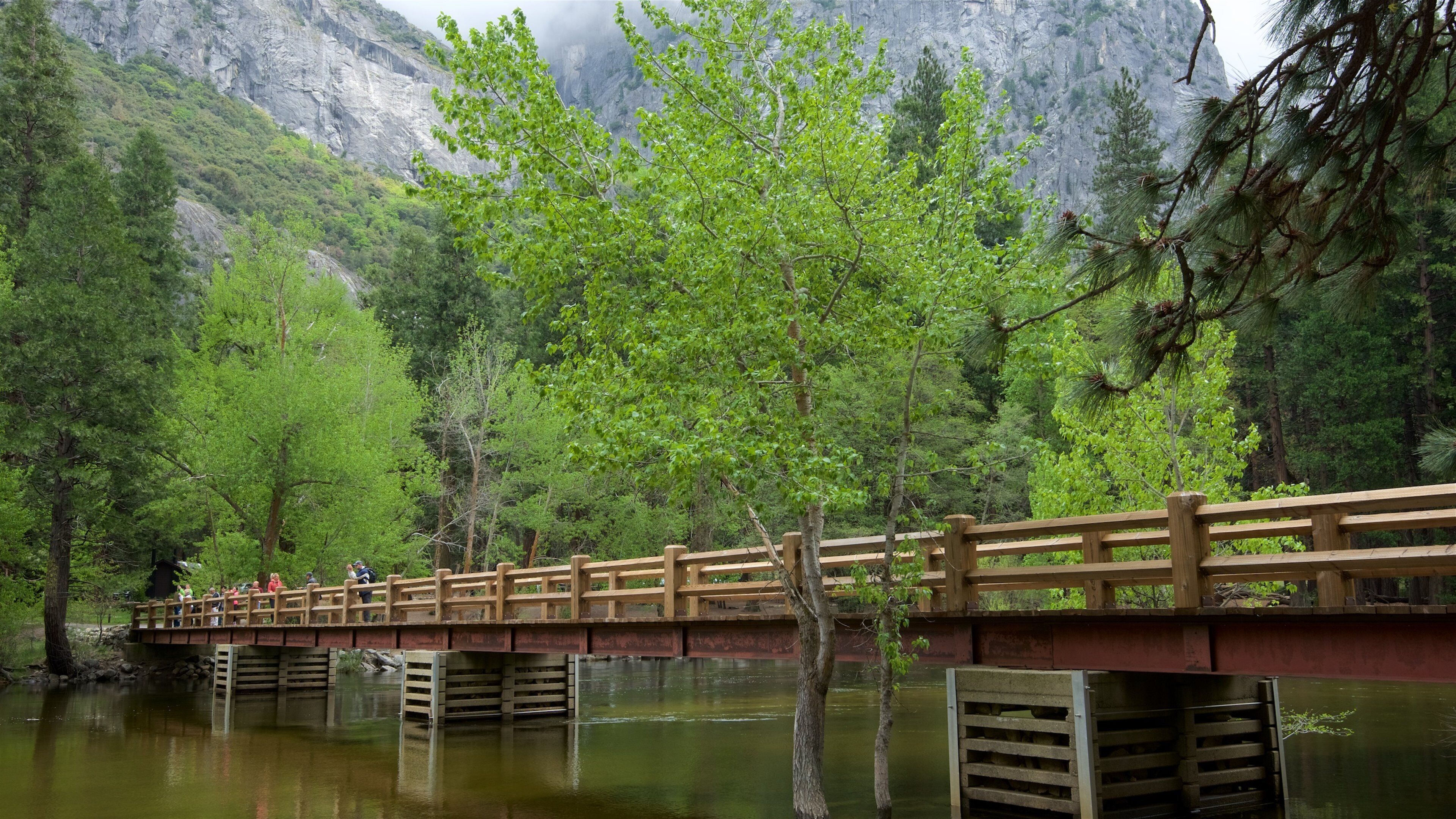 Swinging Bridge Picnic Area