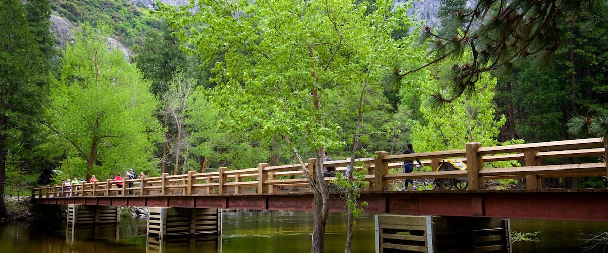 Swinging Bridge Picnic Area