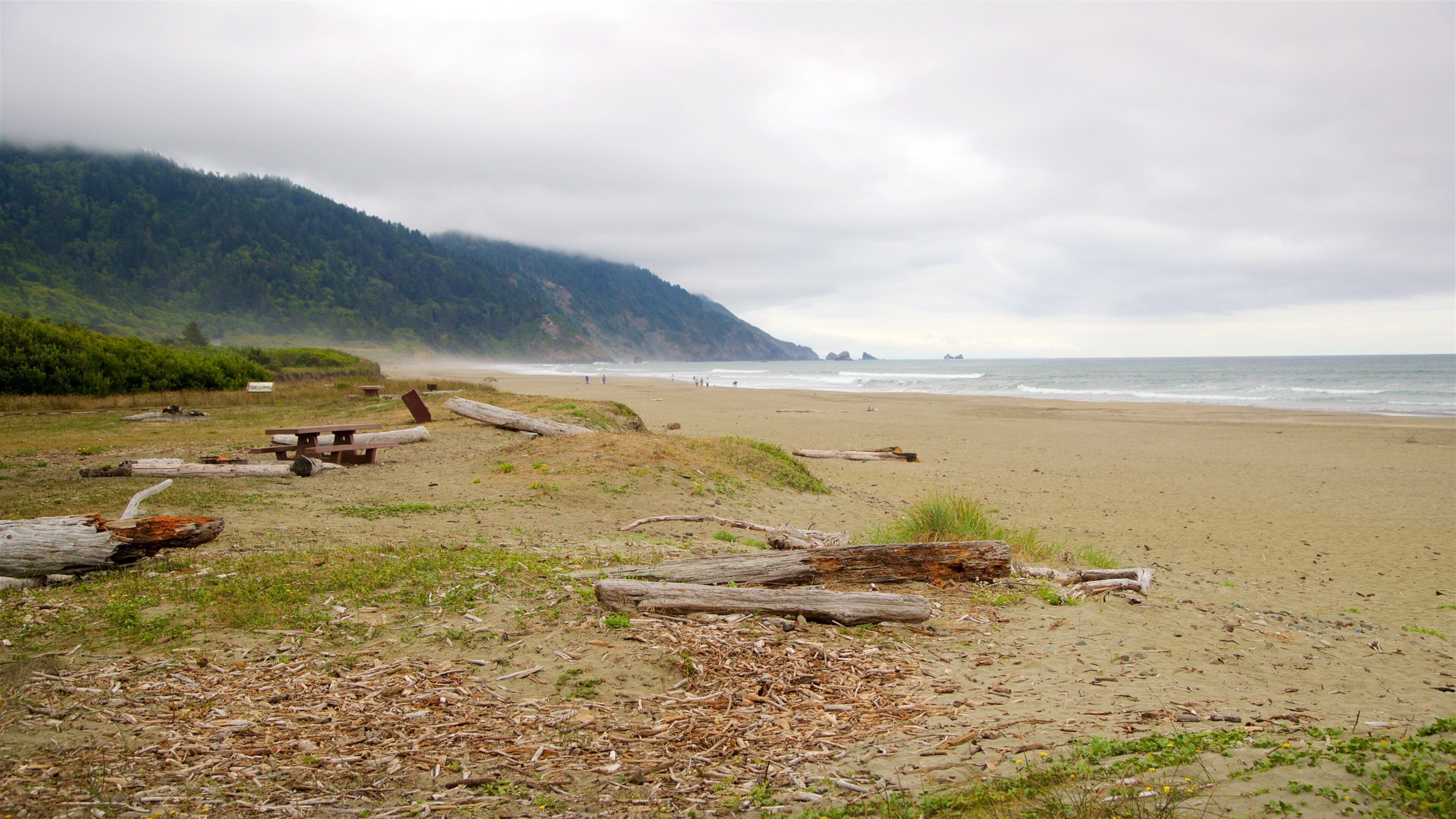 红木国家和州立公园