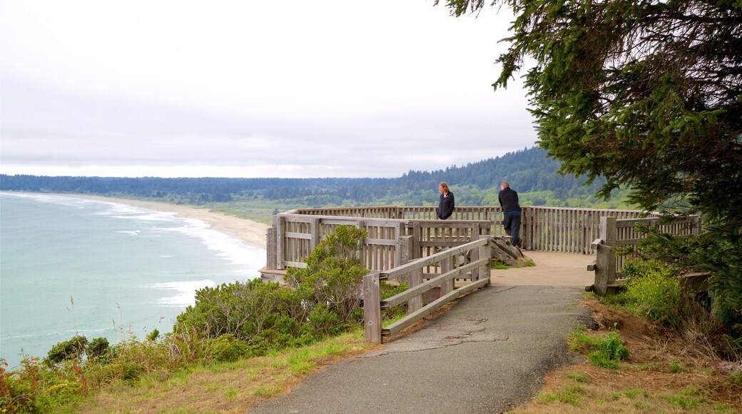 Enderts Beach which includes views and general coastal views as well as a couple