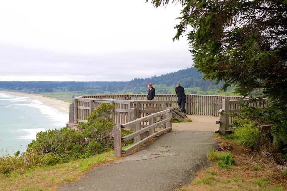 A wooden boardwalk leading to a beach with ocean views, surrounded by greenery and trees.