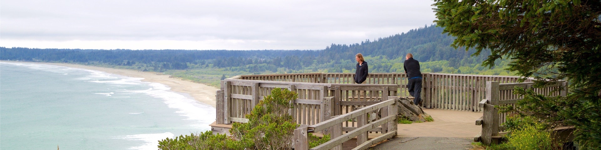 Enderts Beach which includes views and general coastal views as well as a couple