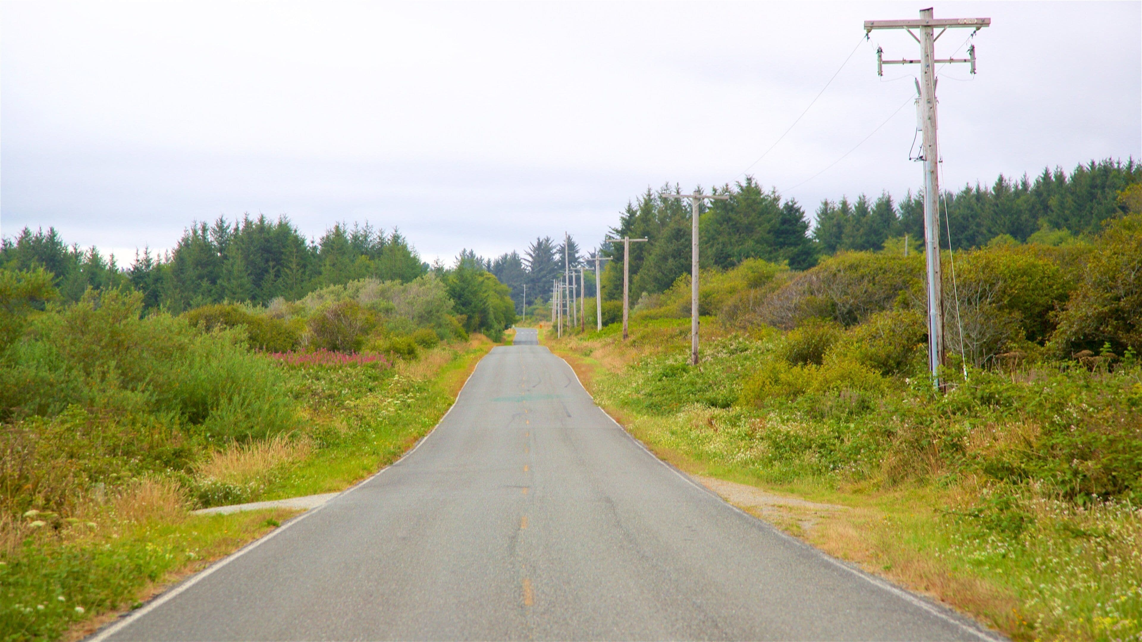 <h2>Top-rated places to stay near the beach in Crescent City</h2>