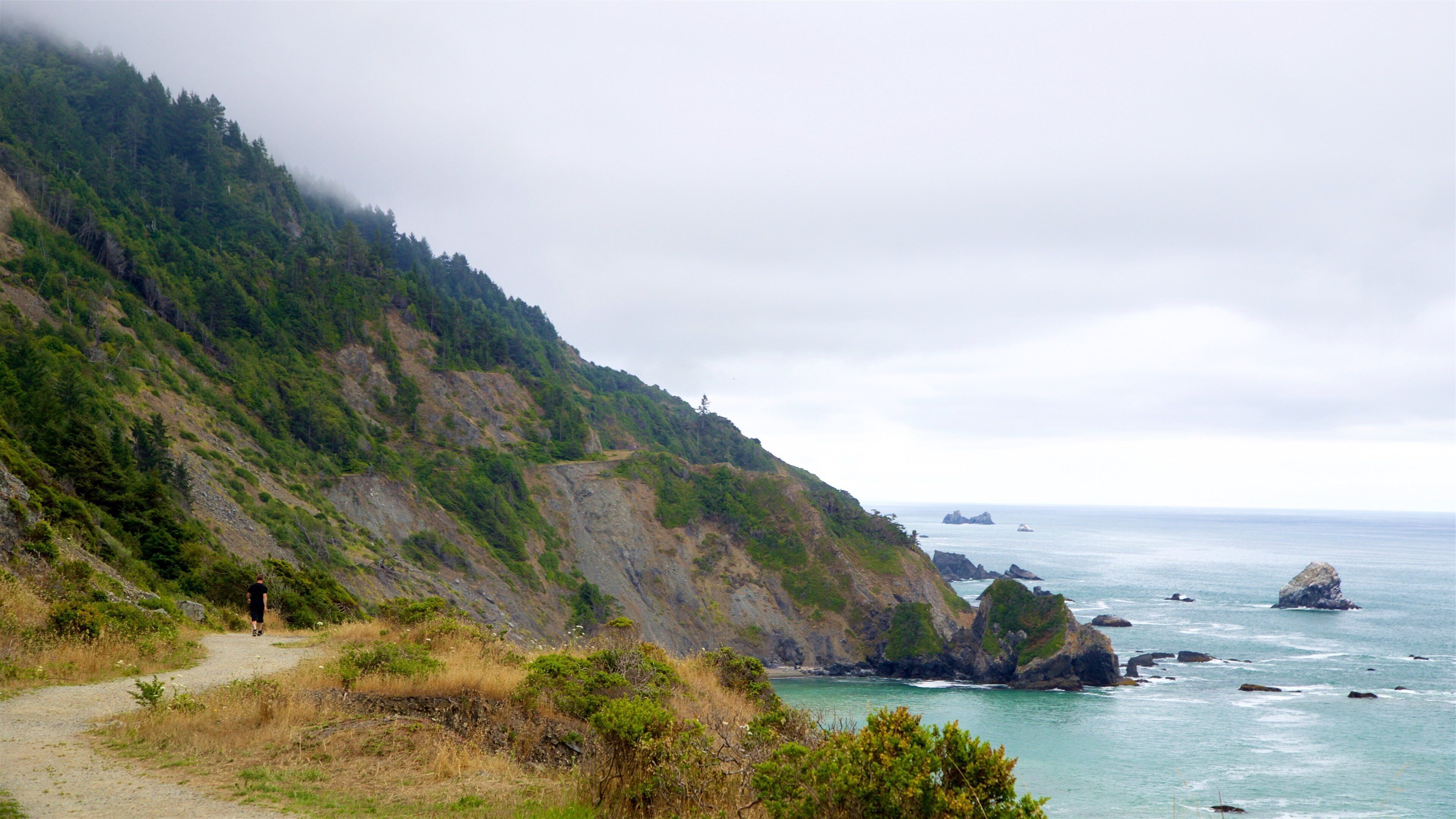 Enderts Beach which includes landscape views, rocky coastline and general coastal views