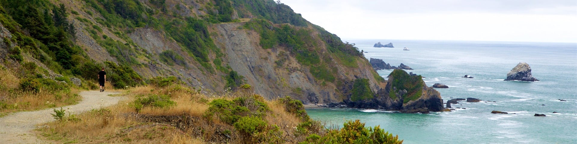 Enderts Beach which includes landscape views, rocky coastline and general coastal views