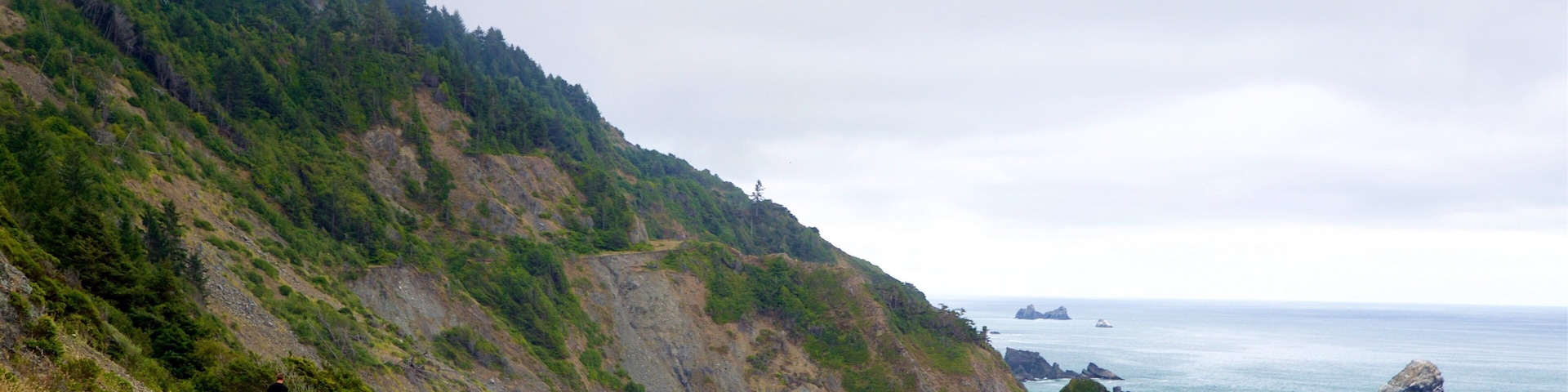 Paisagem costeira com um caminho de terra, colinas verdes, afloramentos rochosos e águas oceânicas calmas.