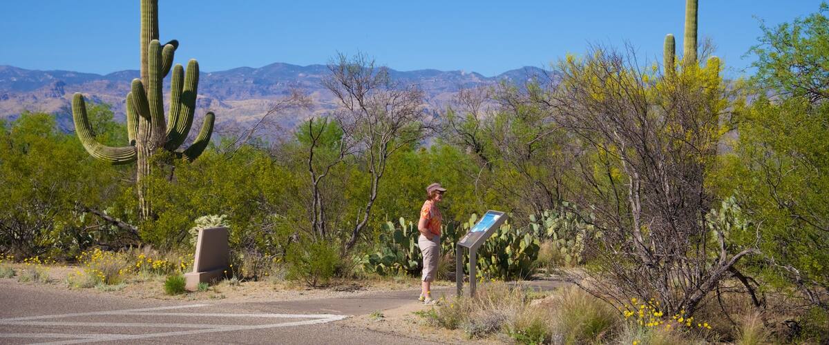 Desert Ecology Trail