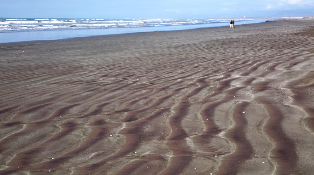 Carters Beach showing waves, a bay or harbor and a beach