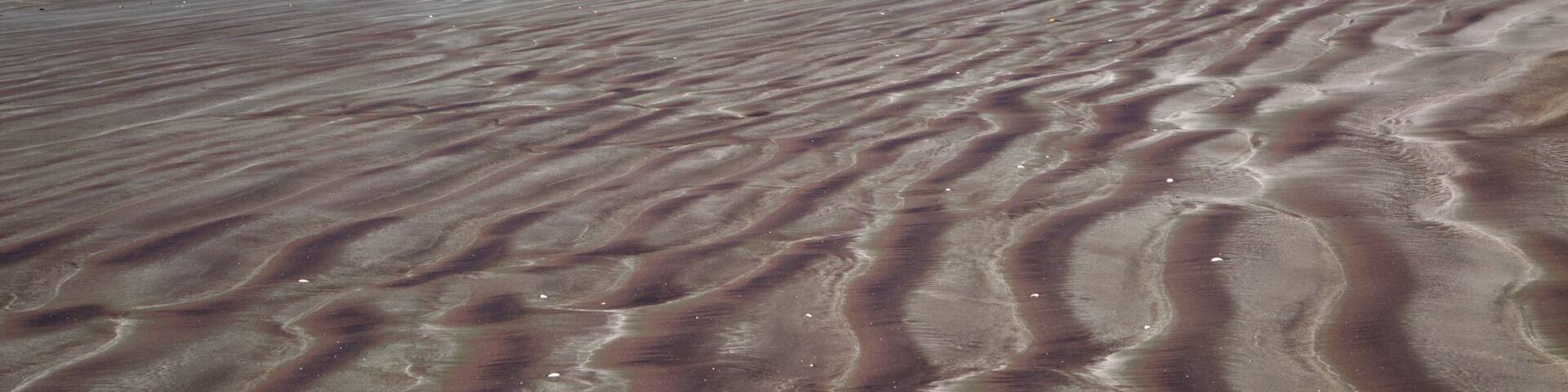 Carters Beach showing waves, a bay or harbor and a beach
