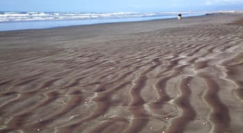 Carters Beach showing waves, a bay or harbor and a beach