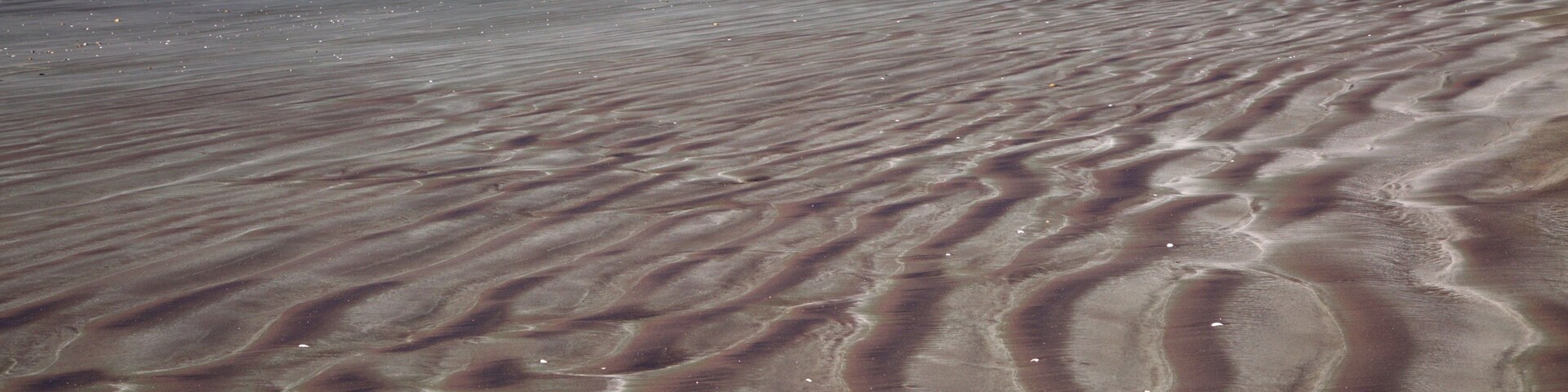 Carters Beach showing waves, a bay or harbor and a beach