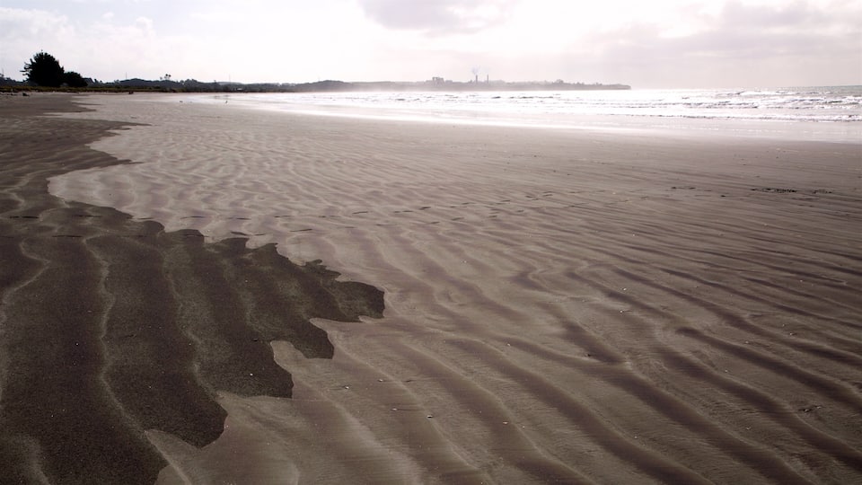 威斯波特 设有 沙灘 和 衝浪