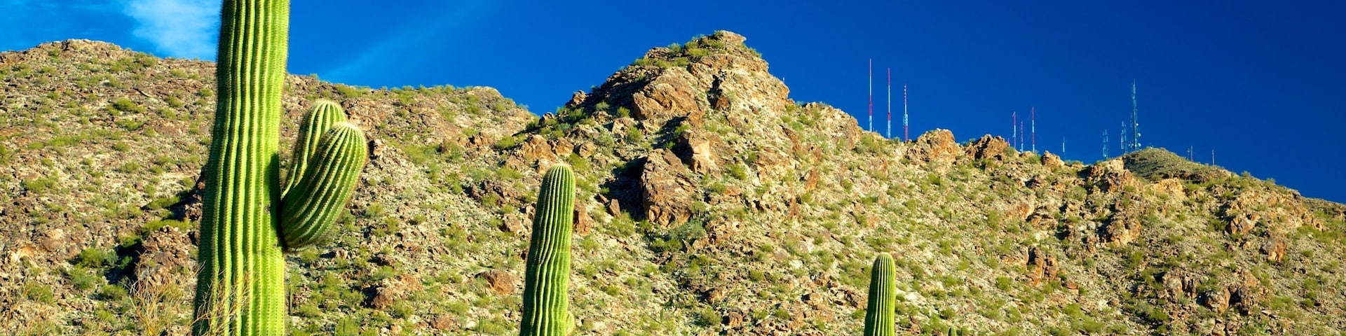 Dobbins Point showing desert views