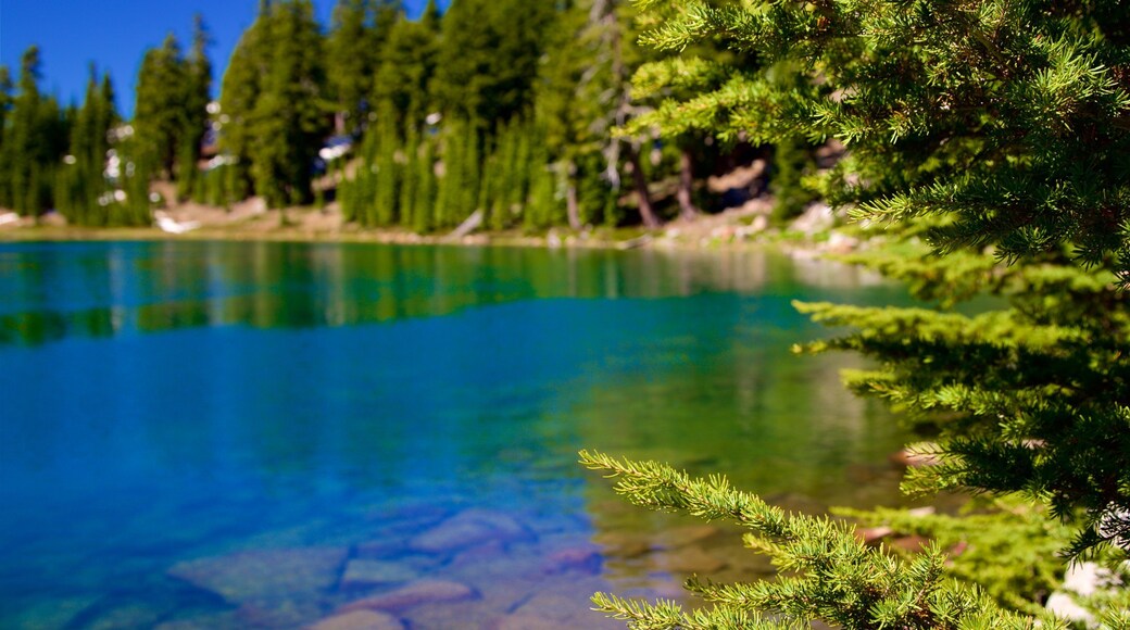 Mill Creek có tính năng cảnh thanh bình và hồ nước