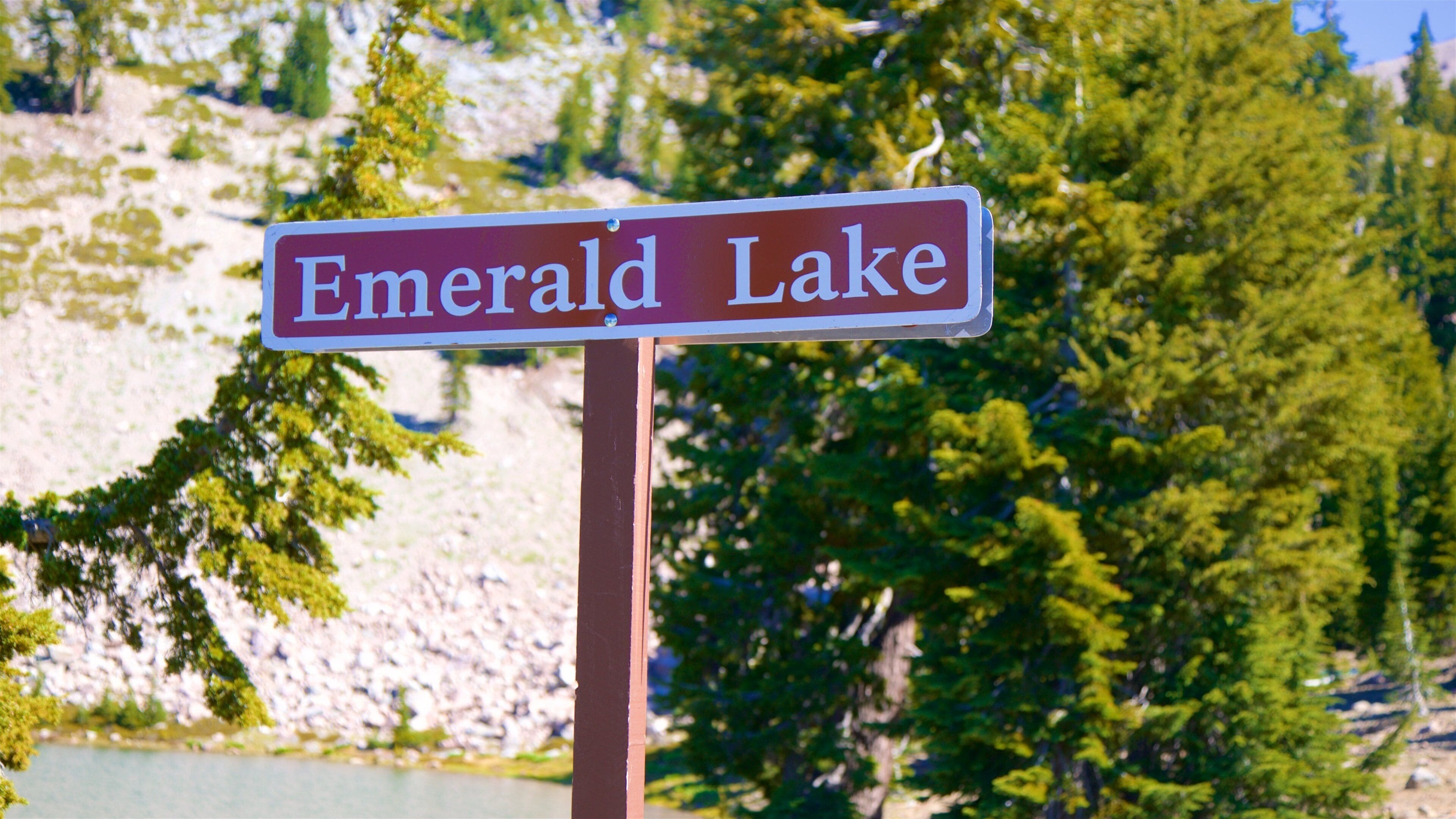 Mill Creek featuring signage