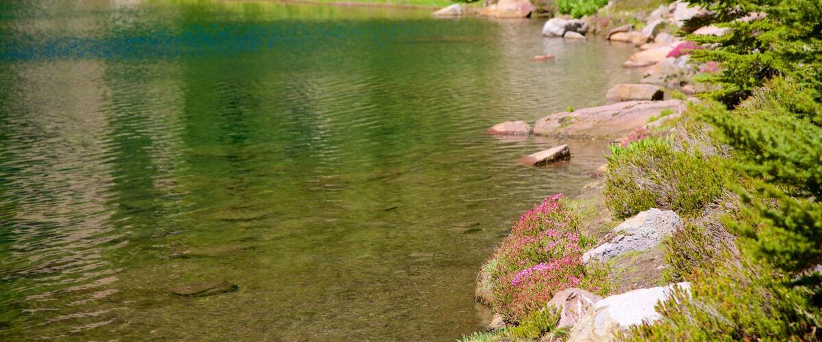 Mill Creek qui includes lac ou étang