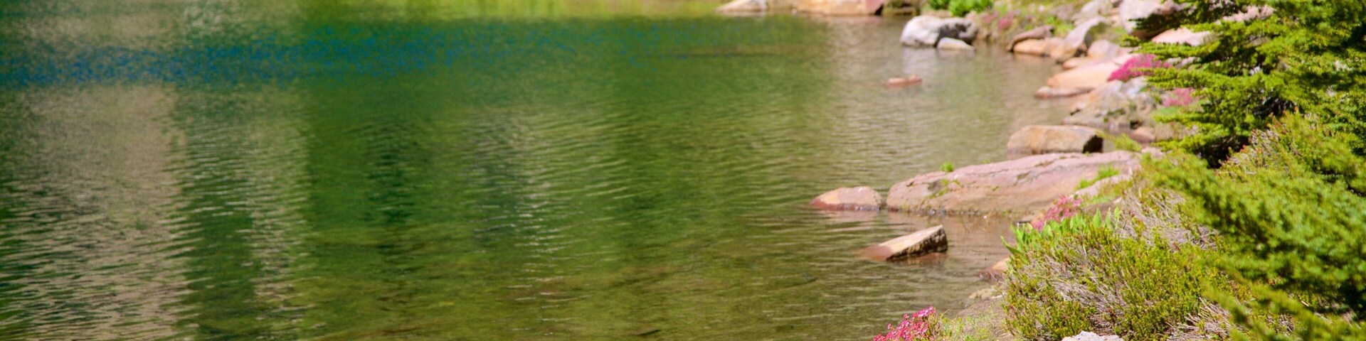 Mill Creek which includes a lake or waterhole