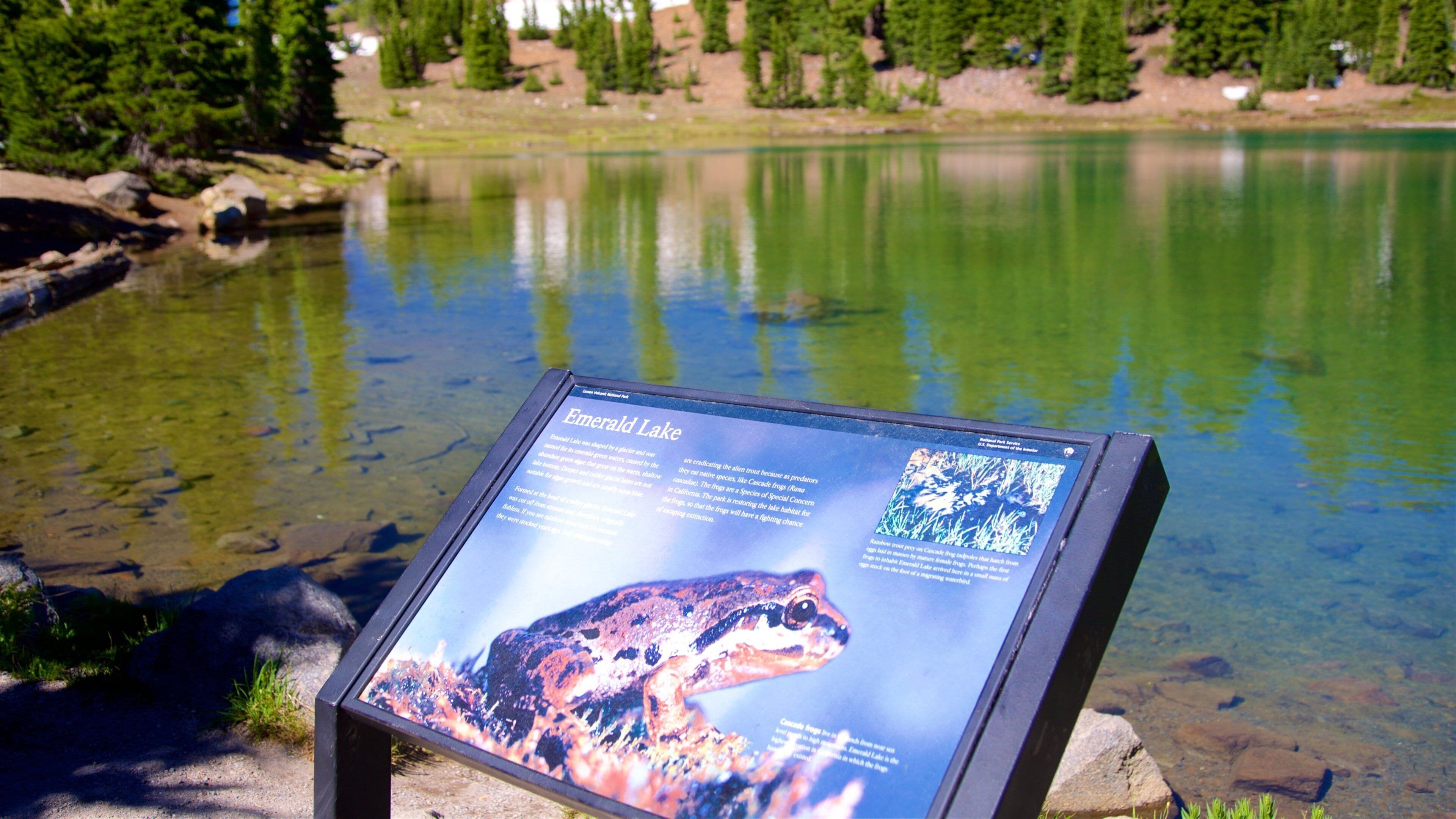 Mill Creek mostrando señalización y un lago o laguna