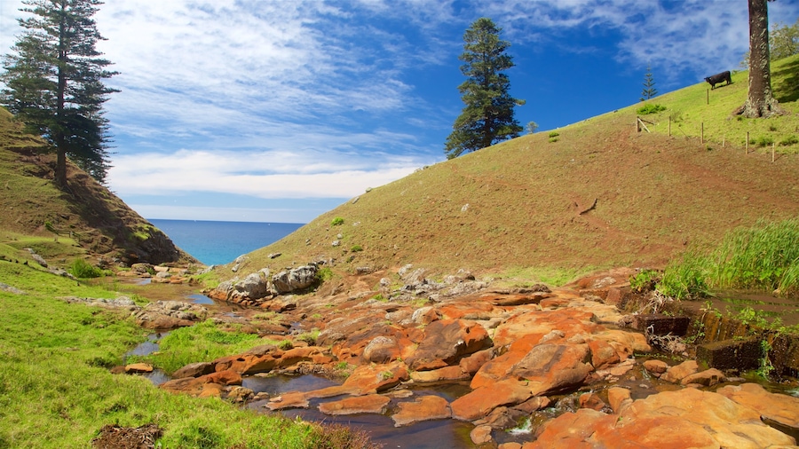 Norfolk Island featuring tranquil scenes and a river or creek