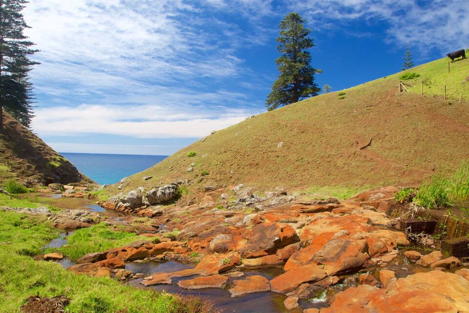 A rocky stream with a grassy hillside and a cow grazing.