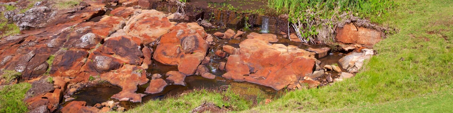 Norfolk Island showing tranquil scenes, land animals and a river or creek