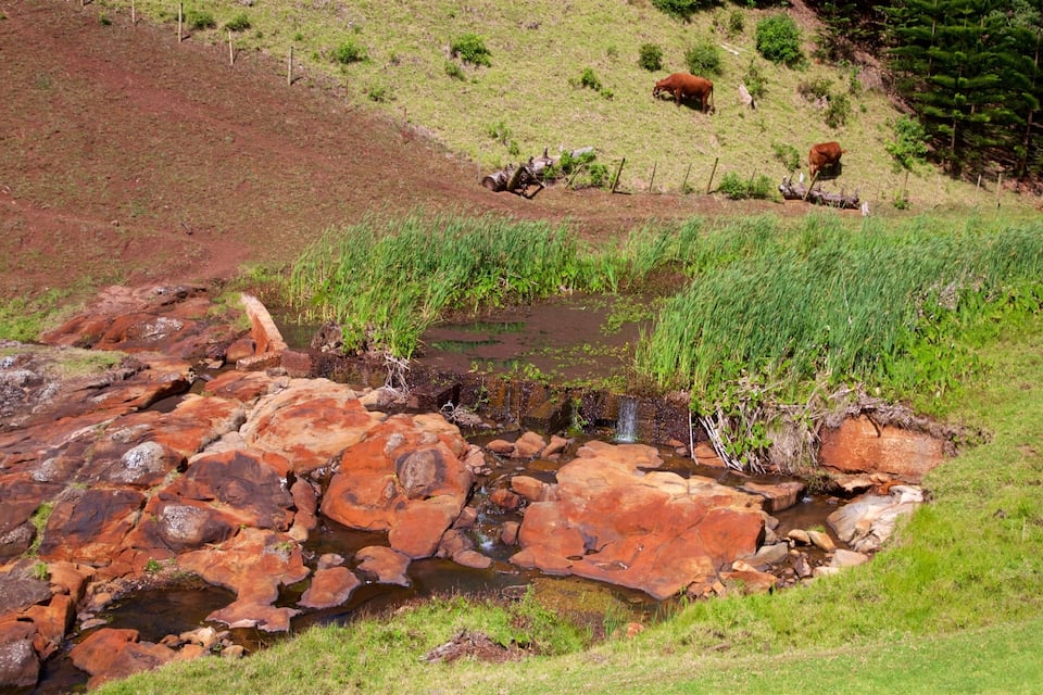 A stream flowing over reddish-brown rocks, surrounded by green grass and trees.
