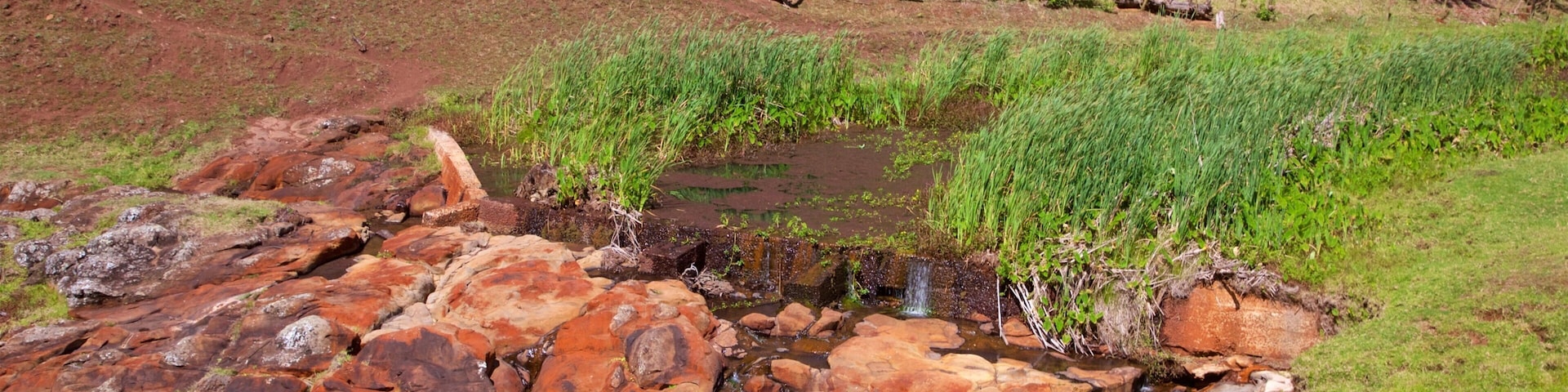 Norfolk Island showing tranquil scenes, land animals and a river or creek