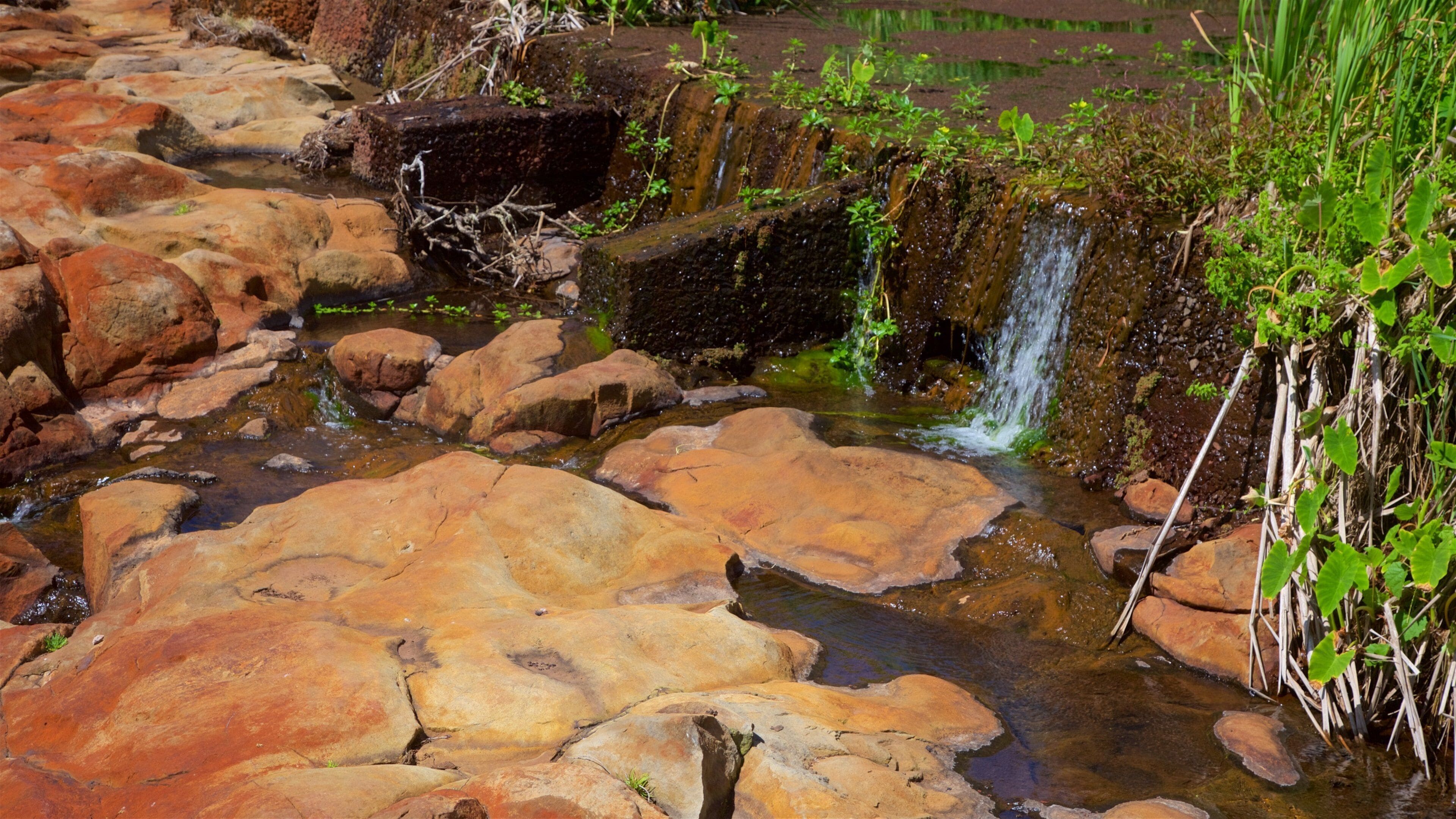 Norfolk Island featuring a river or creek