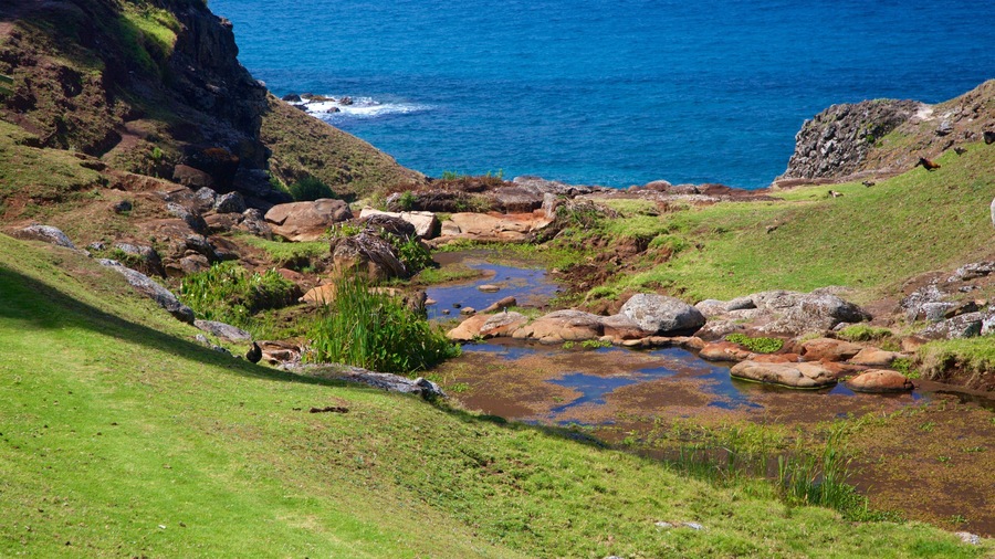 Norfolk Island showing a river or creek, tranquil scenes and general coastal views