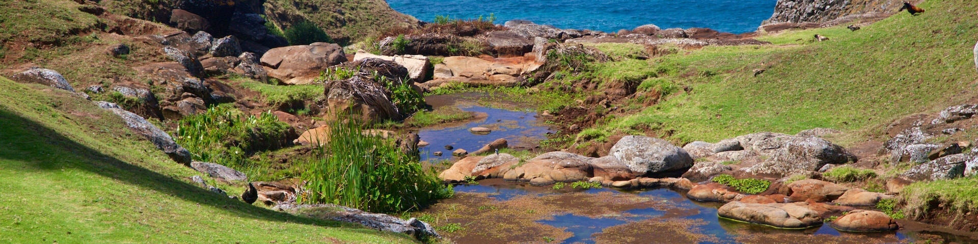 Norfolk Island showing general coastal views, tranquil scenes and a river or creek