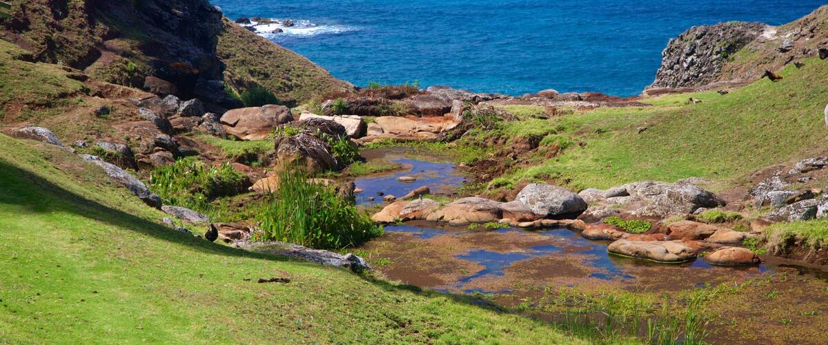 A coastal landscape with rocky terrain, a small stream, and the ocean in the background.