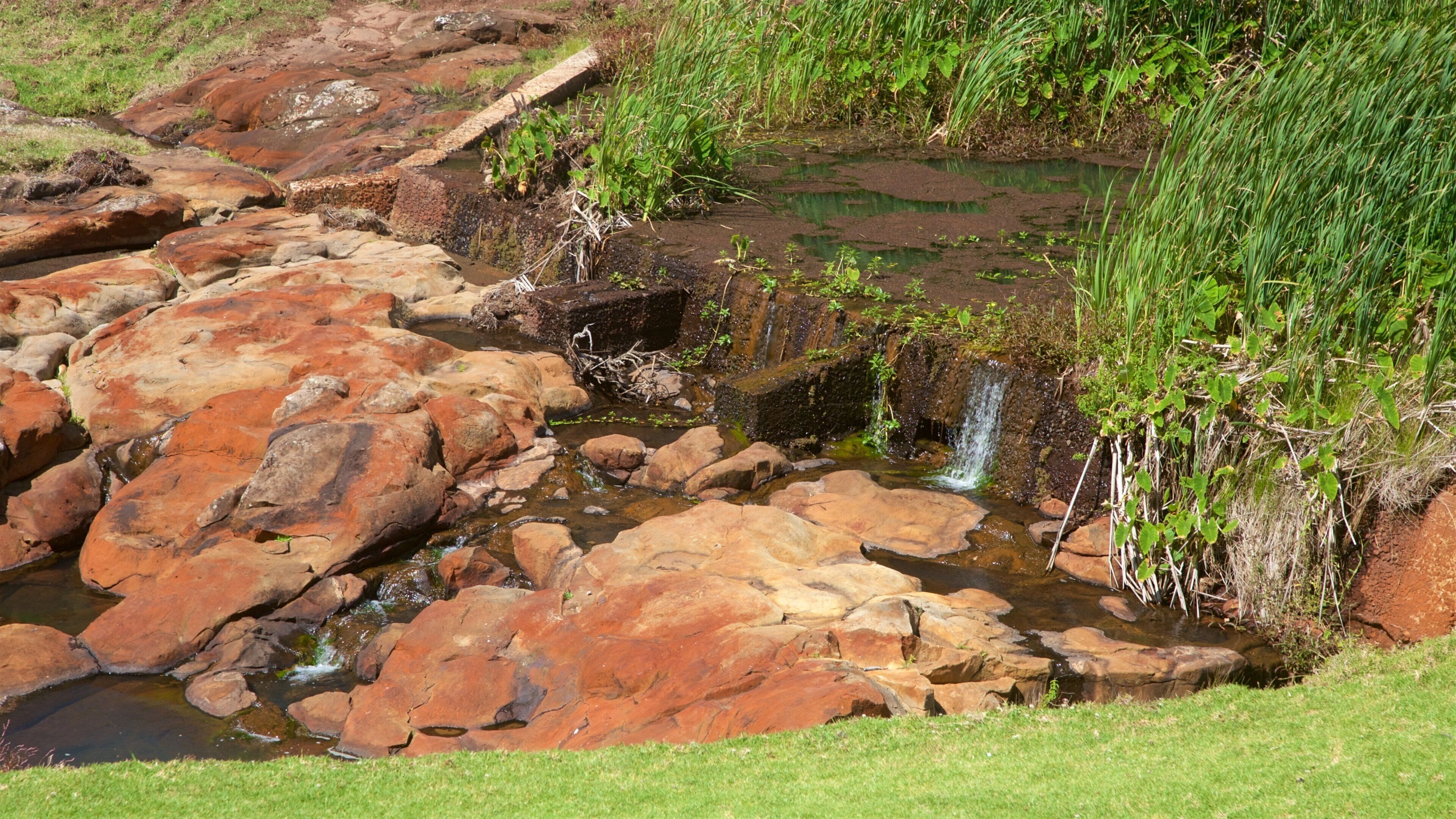 Île Norfolk qui includes rivière ou ruisseau