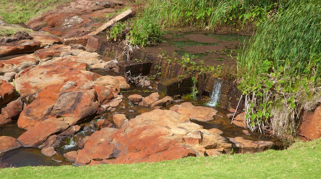 Ăle Norfolk qui includes riviĂšre ou ruisseau