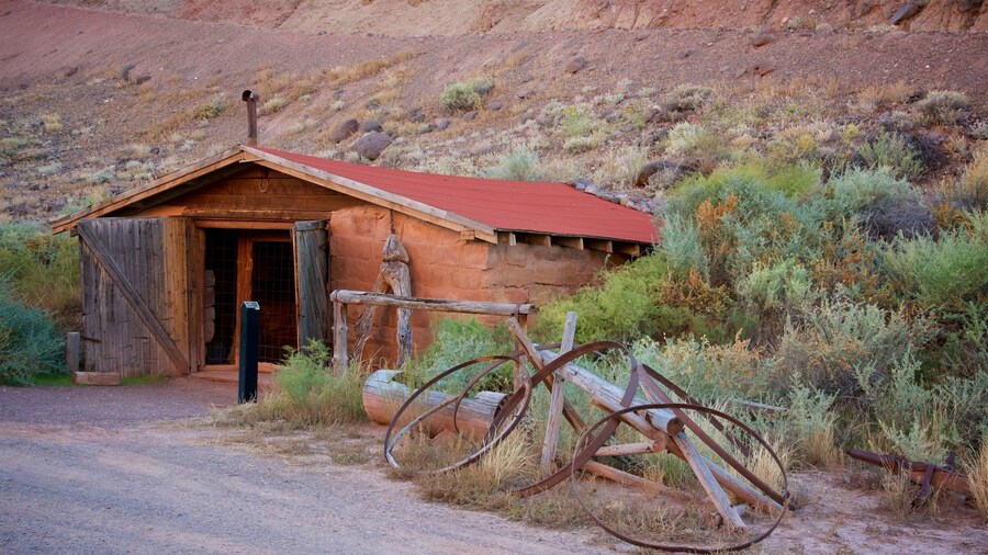 Torrey featuring a house, farmland and tranquil scenes