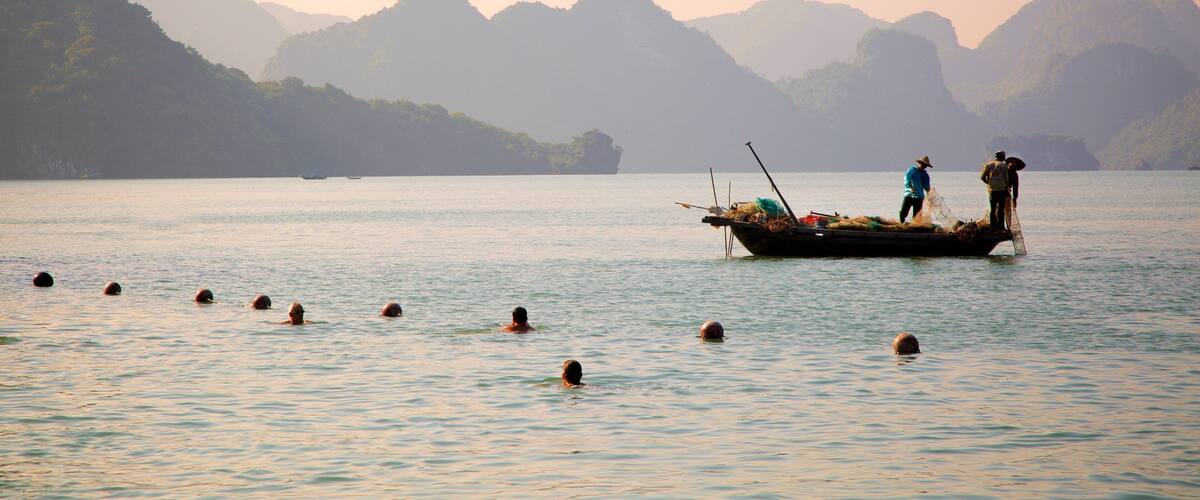 Halong Bay showing a bay or harbour and general coastal views