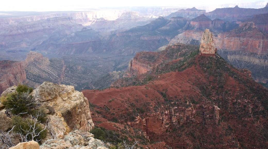 North Rim which includes desert views, a gorge or canyon and tranquil scenes