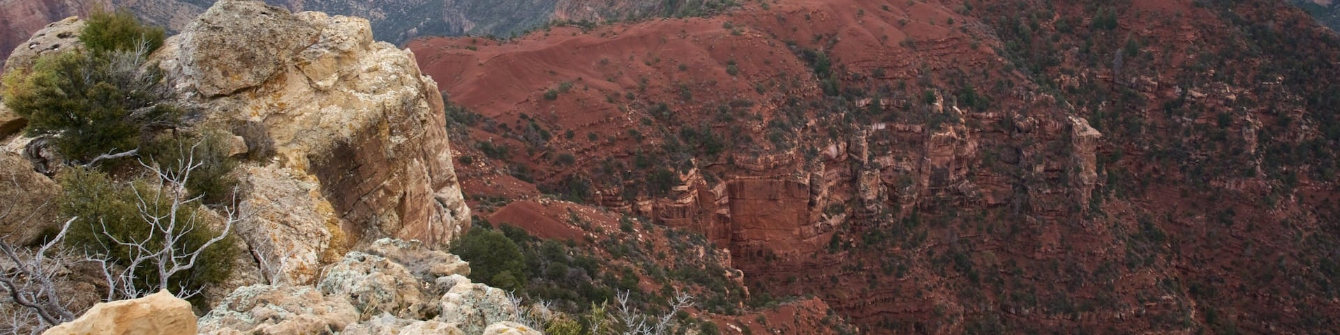 North Rim which includes tranquil scenes, desert views and a gorge or canyon