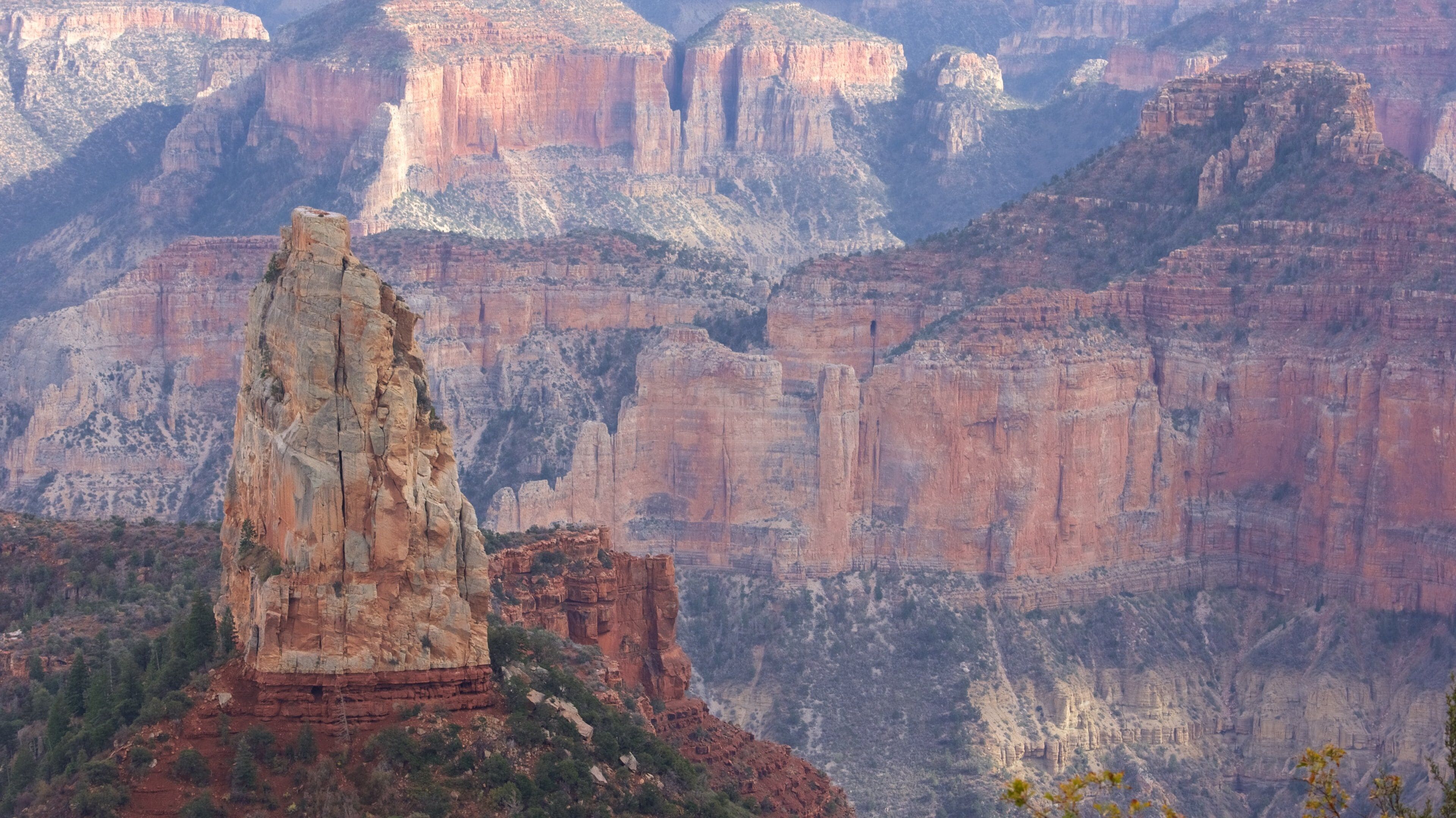 North Rim featuring desert views, a gorge or canyon and tranquil scenes