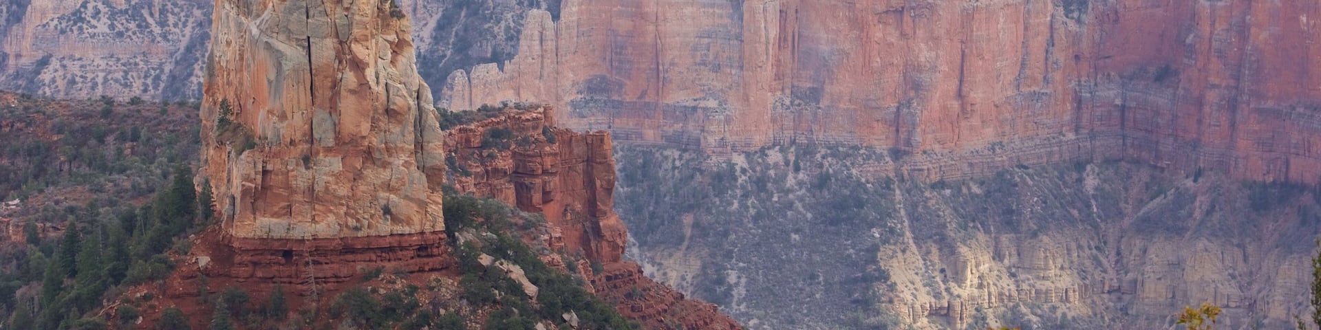 North Rim featuring desert views, a gorge or canyon and tranquil scenes