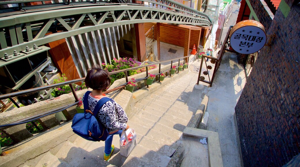 Busan which includes flowers and signage as well as an individual female