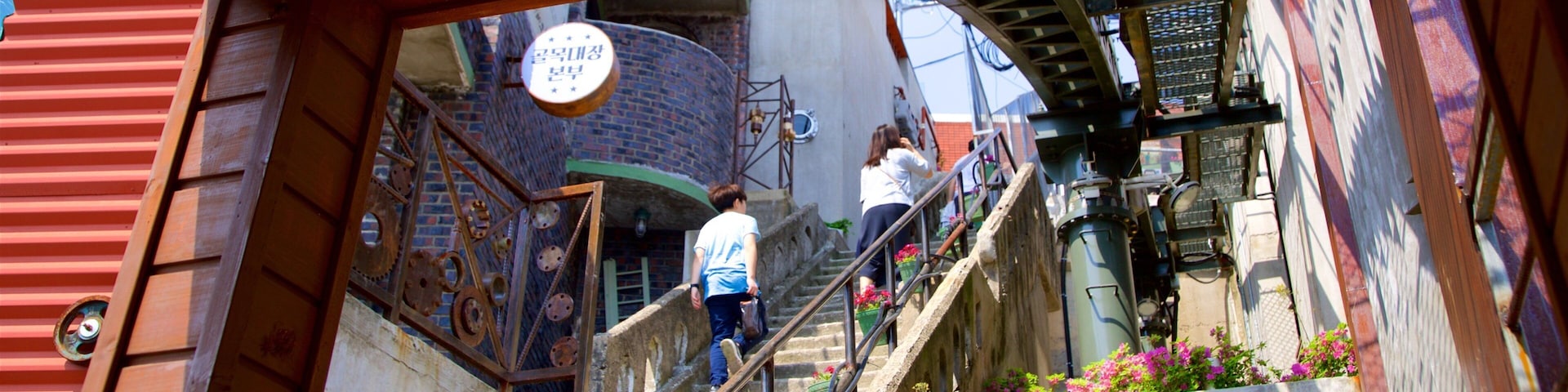 Busan caracterizando flores assim como um casal