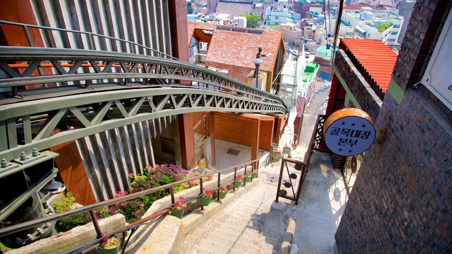 168 Stairs showing a city